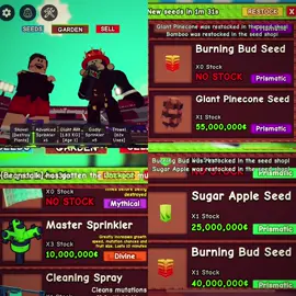 3 stock burning bud #growgarden#updategrowgarden#roblox #fyp #burningbud3#sugarapple#roblox#xyzbca #masukberanda #4u 