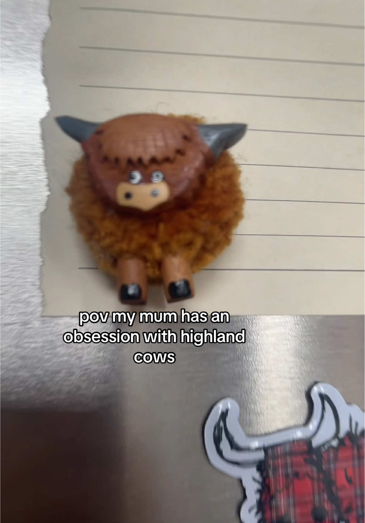 literally everywhere and there’s more #mum #obsession #trend #trending #trendingsound #cow #cows #highlandcow #illbethere #fyp 