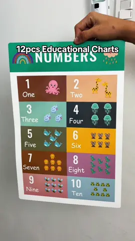 12pcs abcd Educational Cards for kids. #12pcseducationalchart #12pcschartlearningeducation #educationalchart #fyp #foryou #foryoupagе #trending 