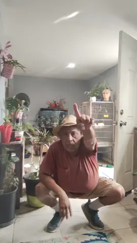 bless Saturday from the plant man.i collect and swap plants Houston TX.