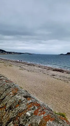 really beautiful😍#forever #unfreezemyacount 