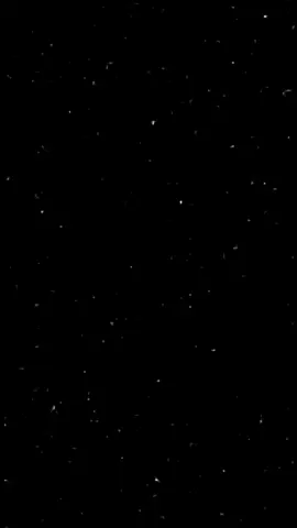 #viralvideo #تصميم_فيديوهات🎶🎤 #تصميم_فيديوهات_حب🥹💍 #الشعب_الصيني_ماله_حل😂😂 #منشن_الحب 