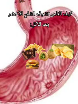 شاي اخضر#شاي #زافين #اكسبلور #رياكشن #ميمز #ضحك #CapCut @زافين⭐️ @زافين⭐️ @زافين⭐️ 