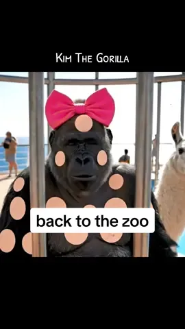 headed back to the zoo… but I’m staying calm… #StressRelief #calm #fypシ #backtoreality #funnyvideos 