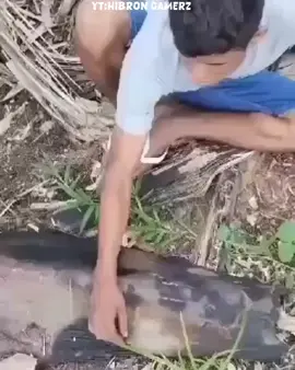 di potong nying sadis#fype #kartel #gorengan #gore #potongkuku #viraltiktok #terbaru #tangan 