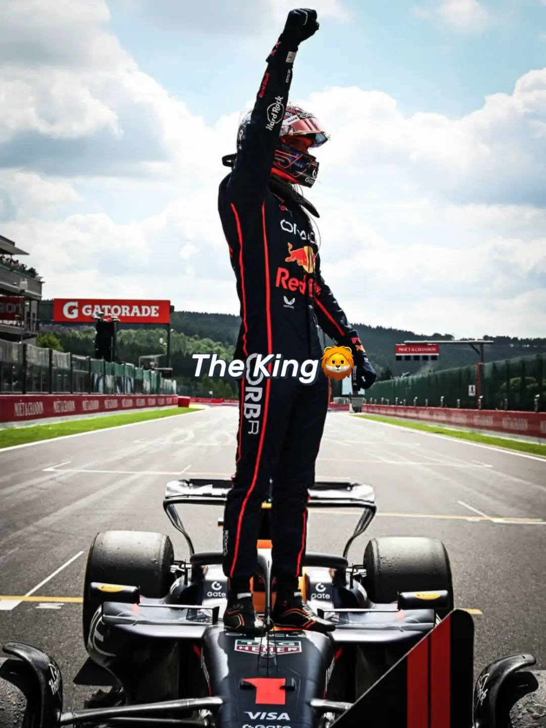 Doing the impossible with a bad car🐐 #fyp #f1 #maxverstappen 