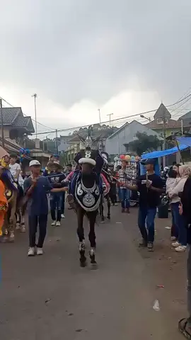 Raden jabarr#radenjabarjaya #renggongmaja #satriamulyastable @fanjifong @endangcunday 
