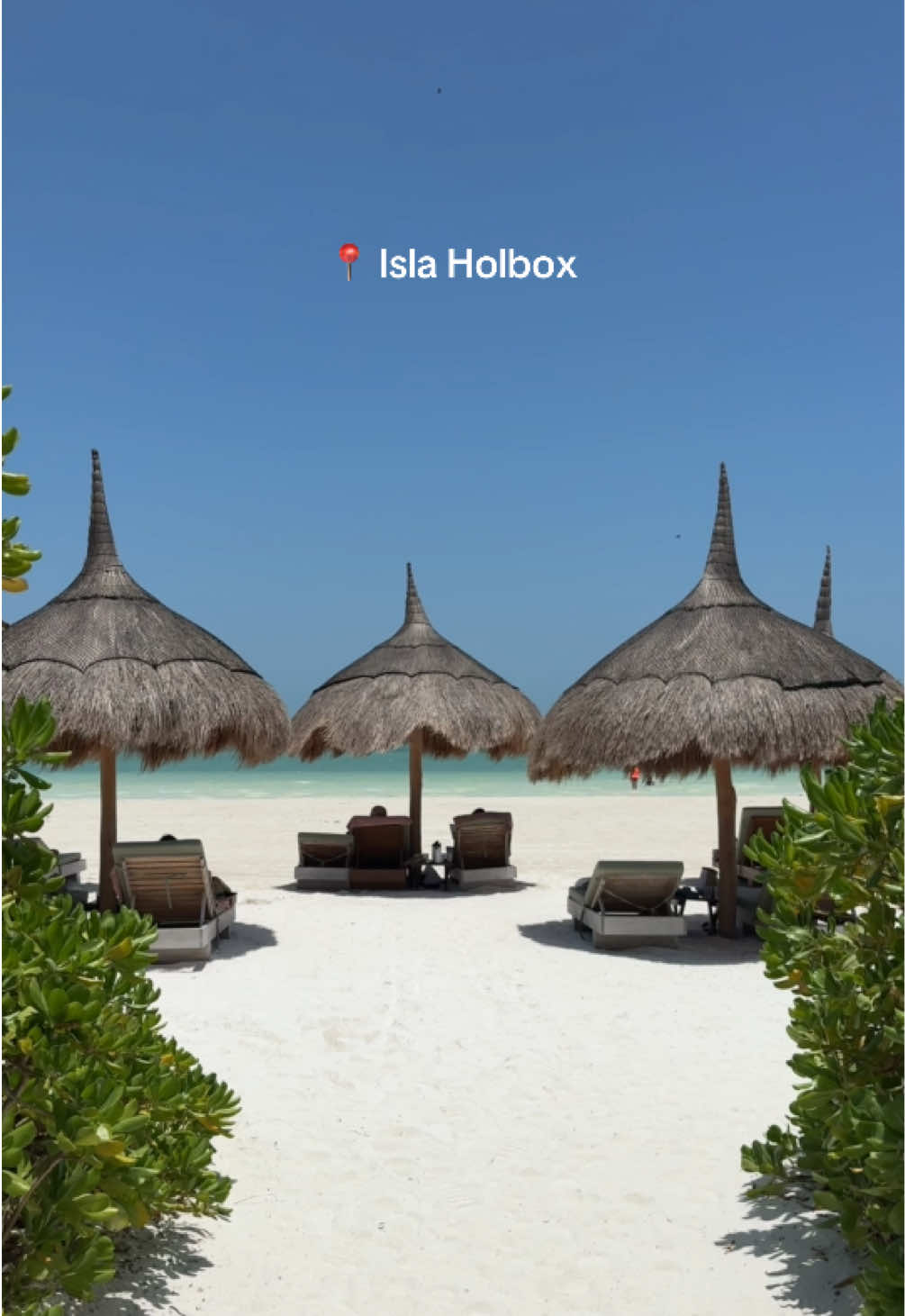 Paradise on earth #holbox #islaholbox #mexico🇲🇽 