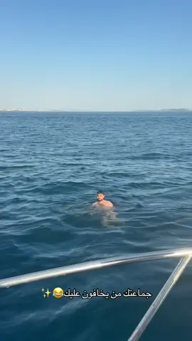 🦈