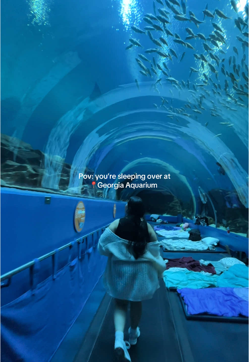 a memorable night so grateful for this experience🦈 @Georgia Aquarium #justparkgirlies #georgiaaquarium #whaleshark #fypシ゚viral #xyzbcafypシ #ocean #underthesea 