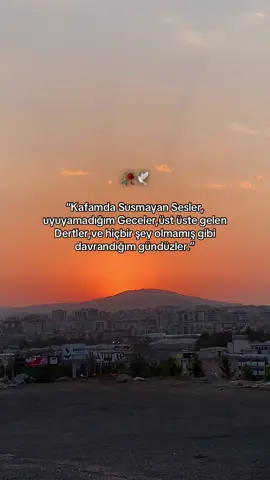 “Duygusal Sözlerinizi Yazın..”🥀🕊️#storylikvideolar📌#ağırsözler #duygusalsözler #anlamlıvideolar #duygusalşarkılar #storylikvideo #günbatımı #keşfetteyizz #fyp #story_sayfasi1 