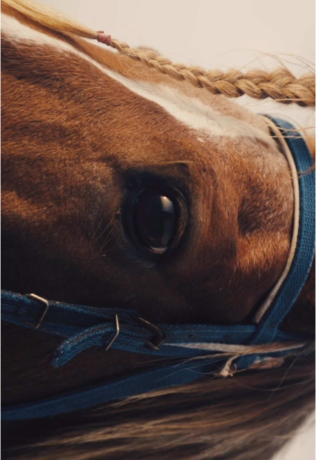 Moment from Java 💭 #java #indonesia #bali #bromo #dji #gopro #sobyalpha #fx3 