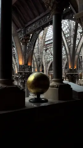 Studying at Oxford University ✨☕️📚 Dark academia autumn aesthetic… #oxford #oxforduniversity #autumnvibes #harrypotteraesthetic #darkacademiaaesthetic 