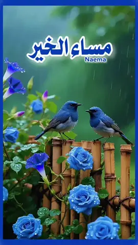 #مساء_الخير🌹 #دعاء 