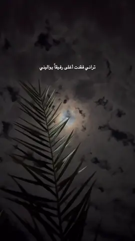 يامال الجنة يدحوم 💔. #تراني_فقدت_اغلى_رفيق_يواليني💔 #findeaño #you #explore #explore #man #اكسبلور 