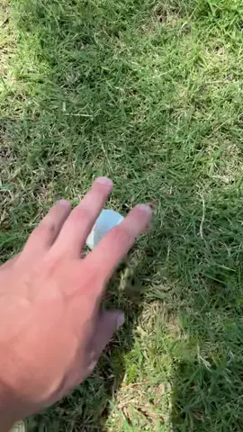 Warden said ‘You’ll never make it past the fence.’ Well, look at me now, Carol.