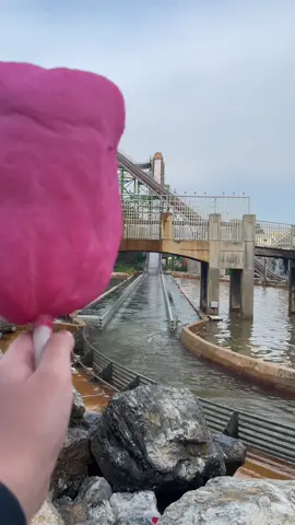 5 second rule..? 💔 #sad #cotton #candy #cottoncandy #water #melt #park #amusement #hershey #fyp #viral 