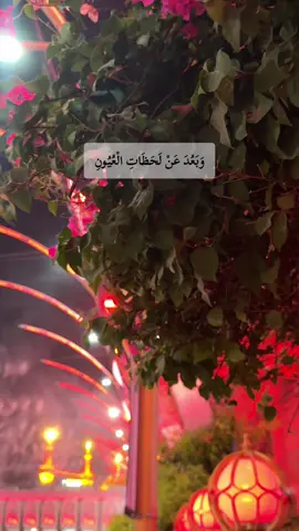 دعاء الصباح للامام علي بن أبي طالب عليه السلام#دعاء_مستجاب #دعاء_يريح_القلوب #يارب_فوضت_امري_اليك #اكسبلور #القران_الكريم_راحه_نفسية😍🕋 