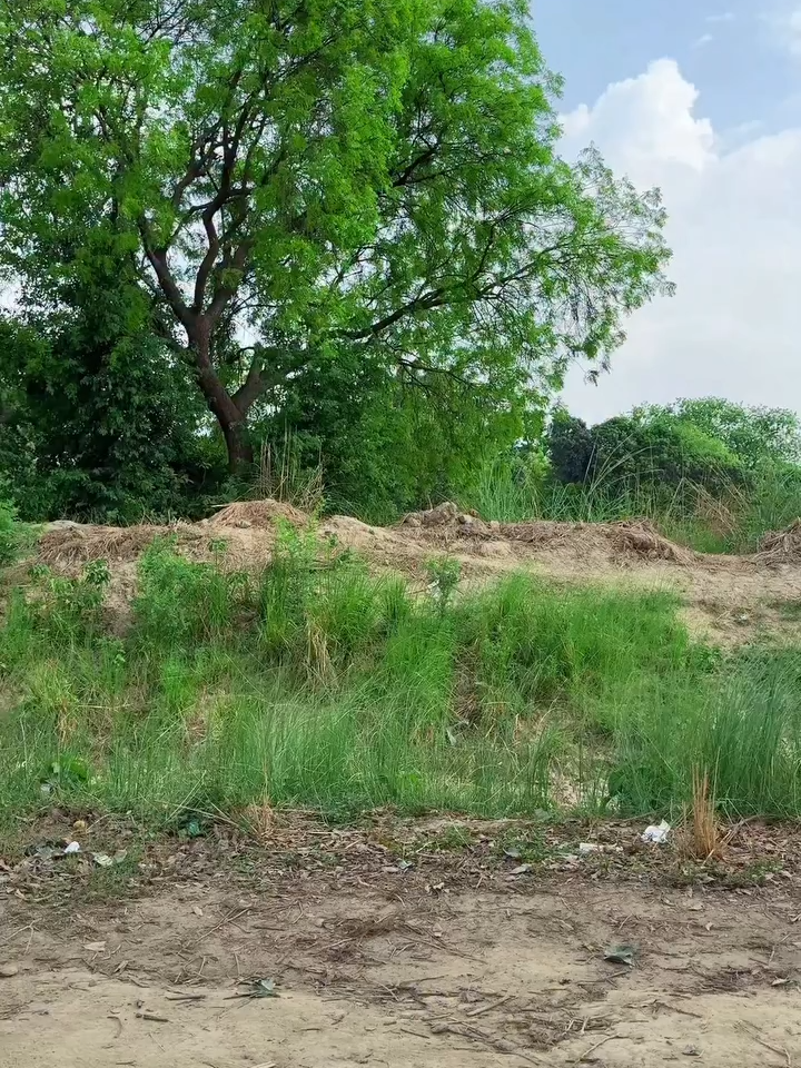 Wait for End 🤣🤣 #Ankitummm #ankitummmcomedy #ankitjackcomedy #reelsinstagram #viralshorts #ankitjackcomedy #dehatisachin #ankitsachincomedy #dehatisachincomedy #trendingvideo #ankitjackcomedyvideosistagramck #dehatisachincomedy #trendingreels