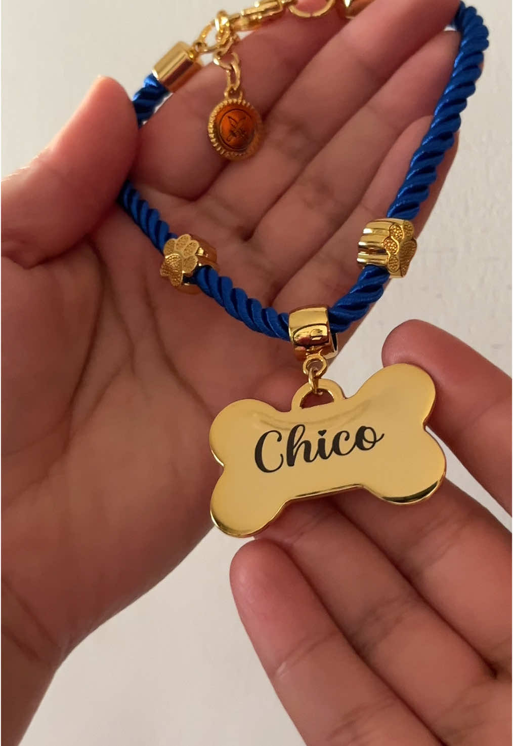Coleira de identificação modelo Premium na cor azul roya💙🐾 🐾 Metais de alta qualidade  🐾 Várias cores disponíveis 🐾 Segurança para o seu pet  🐾 Gravação a laser  🐾 Personalizado com nome e contato do tutor.    acesse o site www.petjolie.com.br #pets #petlover #pettiktok #dogtiktok #goldenretriever #cachorro 
