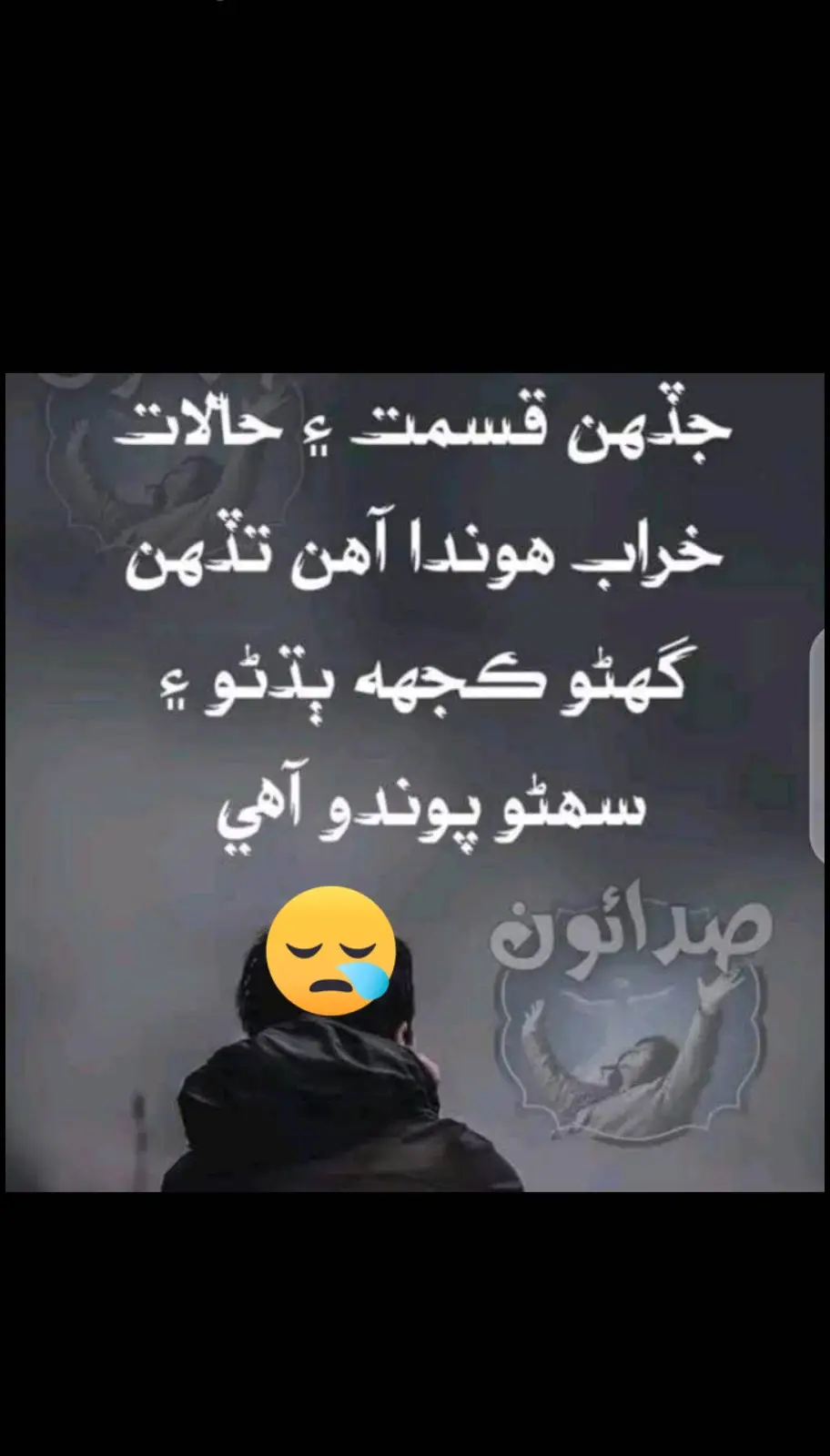 #🥺🥺🥺❤️✨✨🥺🥺 