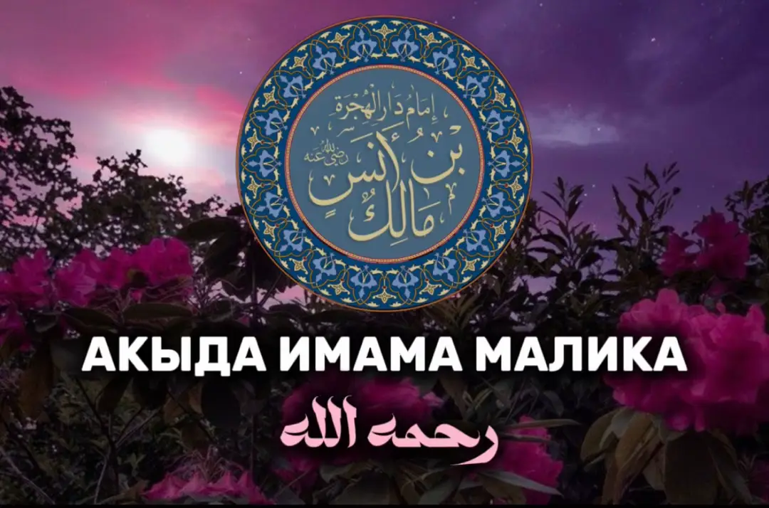 Имам Малик и «истива» Высказывания имама Малика об атрибуте «истива» являются одними из самых известных в области вероубеждения. Его слова широко использовались учеными для разъяснения убеждений праведных предшественников в подходе к атрибуту «истива». Передается, что Джа’фар ибн Абдуллах сказал: كنا عند مالك بن أنس فجاء رجل فقال: يا أبا عبد الله، {الرحمن على العرش استوى} فكيف استوى؟ قال: فأطرق مالك برأسه حتى علاه الرحضاء ثم قال: الكيف منه غير معقول ، والاستواء منه غير مجهول ، والايمان به واجب ، والسؤال عنه بدعه ، واظنك صاحب بدعة ، وأمر به فأخرج «Мы были у Малика ибн Анаса, когда к нему явился некий человек и сказал: “О Абу Абдуллах, «Милостивый над Троном истива»[108], как истива?”. Малик опустил голову, покрылся испариной, сжал в руках трость, затем поднял голову и сказал: ”Нельзя спрашивать «как?», ведь это невозможно уразуметь, «аль-Истива» не безызвестно, верить в это (истива) обязанность, расспрашивать о нем – нововведение. Я думаю, что ты являешься нововведенцем”. Затем имам повелел его выгнать»[109]. Данное высказывание передается в различных версиях учениками имама Ахмада. Передал Абу Нуайам[110], Имам аль-Лялякаи[111], Имам ас-Сабуни[112] по пути Джа’фара ибн Абдуллаха, который сказал: «Мы были у Малика ибн Анаса» и далее. Ибн Абдуль Барр привел эти слова по пути Абдуллаха ибн Нафи’а[113]. Имам аль-Байхаки привел эти слова по пути Абдуллаха ибн Вахба[114]. Также имам аль-Байхаки привел эти слова по пути Яхьи иб Яхьи[115]. Имам ибн Хайян аль-Ансари привел по пути Мухаммада ибн Ну’мана ибн Абдусаляма, который сказал: «Пришел некий мужчина к Малику ибн Анасу» [116]. Ибн Абдуль Барр привел по пути Махди ибн Джа’фара[117]. Данное сообщение достоверно, как сказали об этом имам Ибн Хаджар аль-Аскаляни[118] и имам аз-Захаби[119]. Различие версий слов имама Малика Первая версия: كيف غير معقول «”Как?” – не поддается разуму» или «”Как?”  – непостижимо». Широко распространенная форма. Все ученые, которых мы упоминали выше, приводили слова Малика ибн Анаса этой версии. Вторая версия: إستواؤه مجهول والفعل منه غير معقول «Его истива – неизвестна, и действие от Него непостижимо». В этой форме привел Хафиз Ибн Адуль Барр по пути Махди ибн Джа’фара[120]. Третья версия: ولا يقال كيف, كيف عنه مرفوع كيف وصف نفسه «Так, как Он описал Себя. И не говорится ”как?”, ибо ”как” Ему неприемлемо» В этой форме вывел имам аз-Захаби в книге «аль-Улюв» (стр. 138) по пути Абдуллаха ибн Вахба. В такой форме привел имам аль-Байхаки в книге «аль-Асма ва ас-сифат» с достоверным иснадом. В этой форме привел Хафиз ибн Абдуль Барр в книге по пути Аюба аль-Махзуми[121]. Четвертая версия: الِاسْتِوَاءُ مَعْلُومٌ وَالْكَيْفُ غَيْرُ مَعْقُولٍ «Его истива известна, ”как?”– непостижимо». Передали в такой форме Абу Хайян аль-Андалуси в книге «Барх аль-Мухит» (4/310), Ибн Ашур в книге «Тахрир ва ат-танвир» (стр. 163) Обращаем внимание, что некоторые передают эти слова в такой форме: الكيف مجهول  إستواؤه معلوم «Его истава известна, ”как?” – неизвестно». В такой форме эти слова от Малика ибн Анаса не передаются. Возможно, некоторые ученые передавали ее в такой форме по смыслу, но это ошибка. Передается в похожей форме у Ибн Абдуль Барра  по пути Абдуллаха ибн Нафи’а: الكيفيته المجهولة  إستواؤه معقول «Его истава известна, ”как?” – неизвестно». Известные и наиболее достоверные версии: الاستواء غير مجهول، والكيف غير معقول «Его истива известна, ”как?”– непостижимо». ولا يقال كيف, كيف عنه مرفوع كيف وصف نفسه «И не говорится ”как?”, ибо ”как” Ему неприемлемо». НА ДАЛЬШЕ МЕСТА НЕ ХВАТИЛО В ОПИСАНИИ.  #rec #tiktok #акыда 