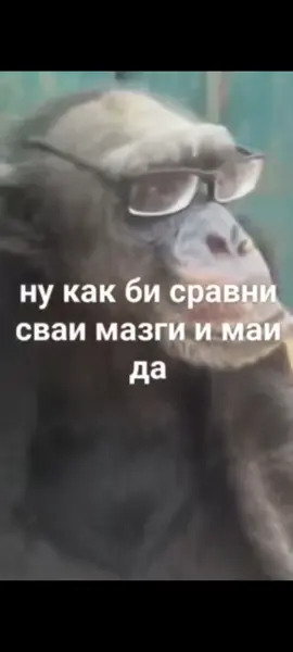 держи