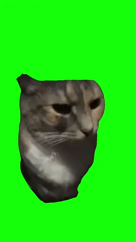 Realization Meme  #greenscreen #memes #Meme #MemeCut #CapCut #nolapolicia #nopolice #itsthecops #brainrot #brainrotedits #brainrotmeme #capcuttemplate #template #greenscreen #greenscreenmeme #funny #funnymeme #viral #trend #fyp #viralmeme
