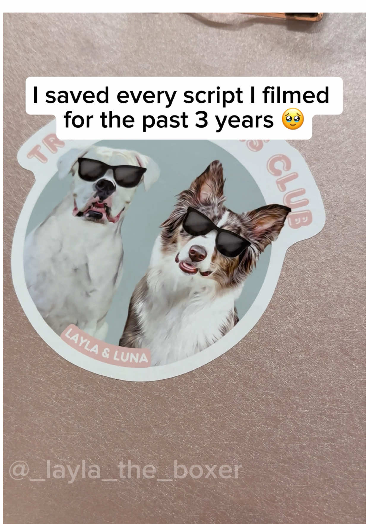 Every skit since July 2022 🥹 Please excuse the Layla drool stains and toddler snack finger marks; these papers went EVERYWHERE while filming 🤣 #funnydogs #filmingwithdogs #bts #minimovie #doghumor