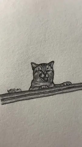 Free lil bro💔🙏         Credit- carmeme_08/IG     #fyp #art #sketch #drawing #cat #linkinpark #foryouuuuuuuuuuuuu #fypシ 