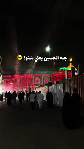 الحسين هو الجنة ! #ياسين_الجمري #fyp #foryou #fypシ  #محرم #كربلاء 