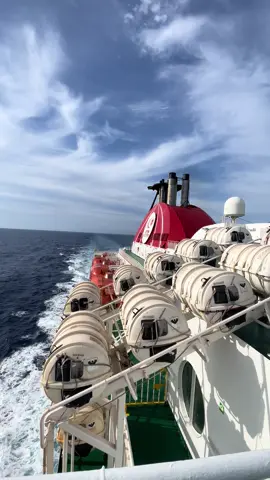 bleddd🇹🇳                                              #pourtoi #fyp #tunisia #vacances #viral #lagoulette #carthage #bled #216 #fyp #foryou #viral #tunisia #tunisie #traveltunisia #discovertunisia #boattrip #Homecoming #ctn #emotionaljourney 