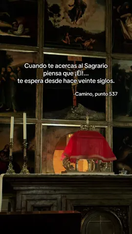 #caminoajesus #camino #santidad #sersantos #miraralcielo #sermuysantos #papaleonxiv #sagrario #vidacatolica 