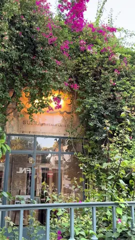 #شارع_الرينبو #سفرة #مطعم_سفرة #عمان #عمان_الاردن🇯🇴🤍 