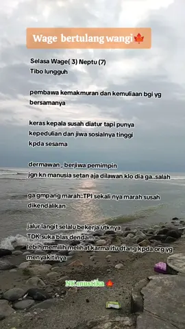 ada yg sama dgn ku🙏😊 salam Rahayu #wetonjawa ##wetonwage #selasawage #tulangwangi🖖 #khodam #khodampendamping 