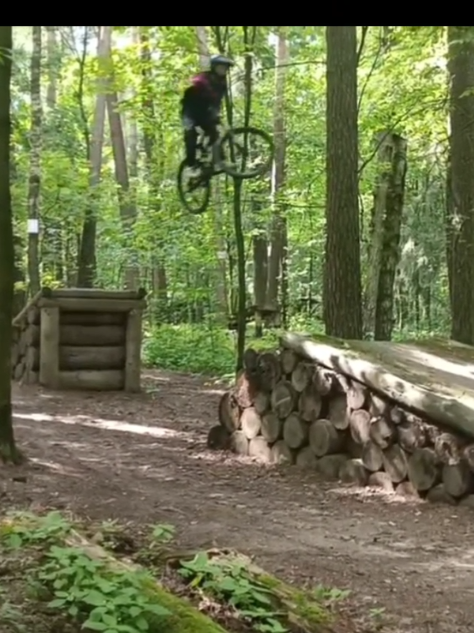 Fox Trail 🦊 В основном была съемка от 1 лица,  хоть какой-то видос из этого вышел #mtb #mtbgirl #bikelife #mtbbike #lapierre @недофрирайдер¦пушерский 