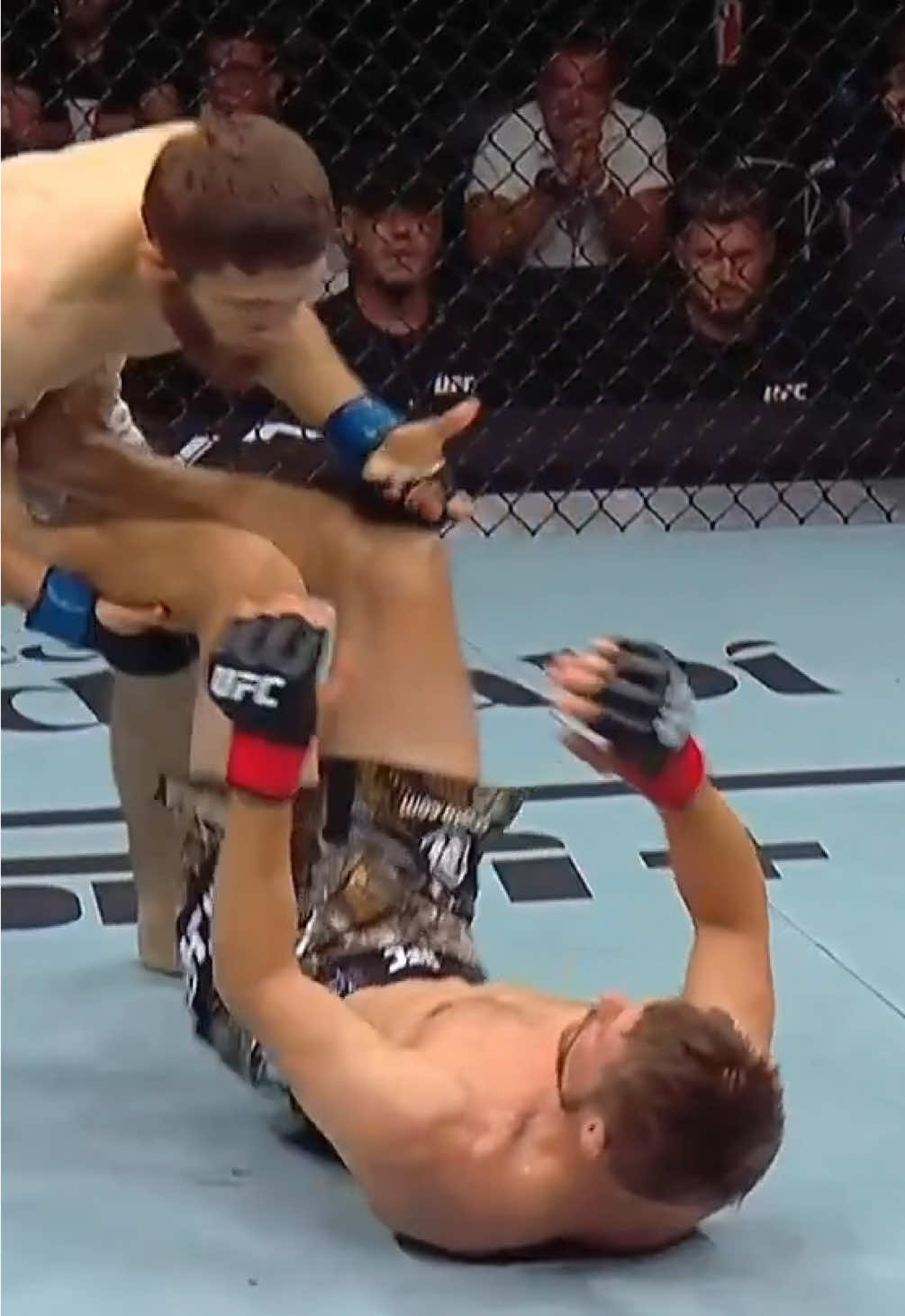 💥 Брайс Митчелл в нокдауне! #UFCAbuDhabi #UFC #MMA #knockdown 