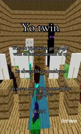 #nichetok #niche #twin #slimetok #juggtok #giftok #fyp #meme #stretchtok #capcut #Minecraft 