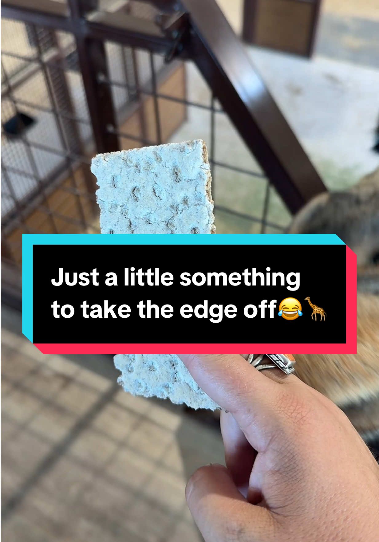 Just a little something to take the edge off😂🦒 @Geralds.life 