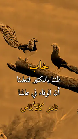 خاب ظننا 👌✋#عبارات #اكسبلورexplore 