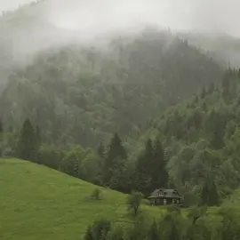 يا أيها السني | الشيخ العلامة مقبل الوادعي رحمه الله تعالى 🌹🌼 #السلف #السلف_الصالح #السلفية #السلفية_الفهم_الصحيح_للكتاب_والسنة #الله #اللهم_صلي_على_نبينا_محمد #التوحيد #السنة #الجزائر #السعودية #اهل_السنة_والجماعة