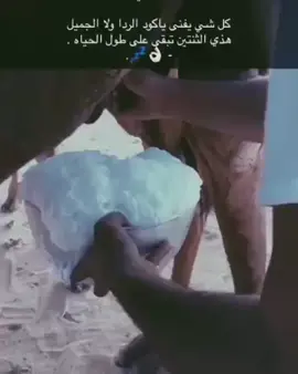 #البل_عطايا_الله_عشاق_البداوه_🐪😍_🤍❤️‍🔥 #اكبسلووور_فووولووو_لاااايك_🥺💘_______#هاشتاقات_تيك_توك_العرب #الشعب_الصيني_ماله_حل😂✌️ 