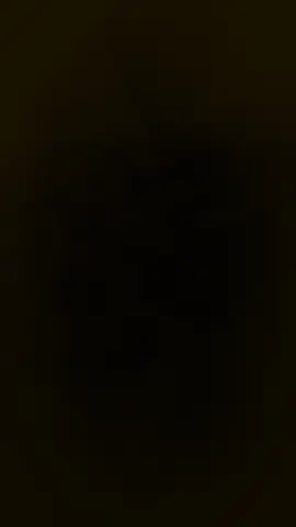 #CapCut 