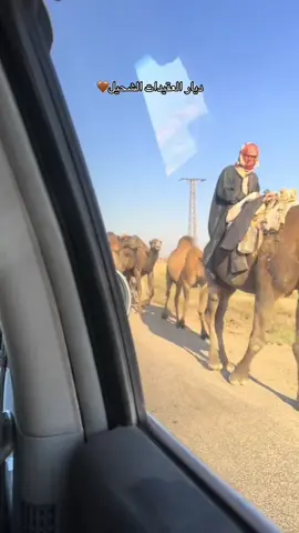 عيال حمد🐆#الشحيل #ديرالزور #العقيدات_عيال_الابرز #ggggggggg #hlvonline_team 