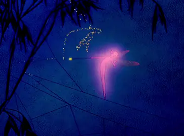 giftok in 2019 was peak #giftok #gif #2019 #nostalgia #nostalgic #aesthetic 