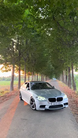 İdeallarinizi atin baxaq