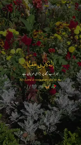 #CapCut #islamic_video #dua #CapCut 