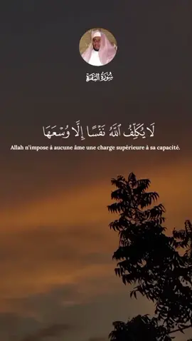 Allah n’impose à aucune âme une charge supérieure à sa capacité. . . .cheikh Abdullah Al-Matroud || الشيخ عبدالله المطرود  #قران #قرآن_كريم #تلاوة_خاشعة #المطرود#matroud #لا_يكلف_الله_نفسا_الا_وسعها #videoviral @القرآن_يرتل 