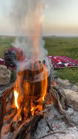 #اكسبلور #الحدود_الشماليه #ربيعه_ديار_شمر 