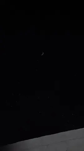 أنا الهايم وأنا المغرم وأنا الساهر مع النجمات♥️🎶 @نوال #قيثارة_العرب #نوال #نوال_الكويتيه #تصويري #pictorial #m__55mm #قيثارة_الخليج #دانة_الخليج #سيدة_الطرب #عصفورة_الفن #شيخة_الطرب #ام_حنين #نجوم_الليل #بدون_موسيقى #كلمات #فيصل_بن_تركي_بن_عبدالله  #الحان #الملحن #ناصر_الصالح  #البوم #نوال_2000 #نوال2000  #انا_الهايم_وانا_الغرم #وانا_الساهر_مع_النجمات #وانا_اللي_قسم_اوقاته #حنين_وصبر_واهات #الا_ياصاحب_الذكرى #من_اجلك_كم_كتبت_ابيات #ومن_اجلك_عشقت_اللي #مضى_واللي_معاه_فاتوا #نجوم_الليل_والغربة #تصميمي #design #capcut #اكسبلور #explore #اضافه #add #لايك #like #likes #مشاركة #share #تيك_توك #tiktok #ترند #trend #trending #fyp #fypage #viral 